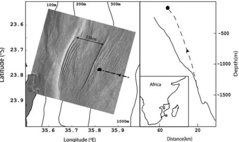Fig. 14.7 ERS2-SAR image dated 24 September 2001 and acquired at 7:39 UTC, showing two packets of ISWs consistent with a mode 2 vertical structure (separated by ∼ 13 km)
