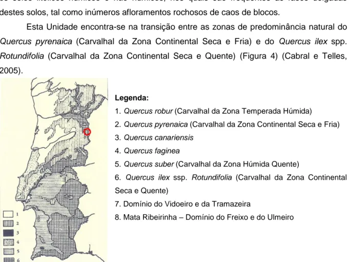 Figura 4 –  Zonas de predominância natural dos carvalhos em Portugal (adaptado de:    