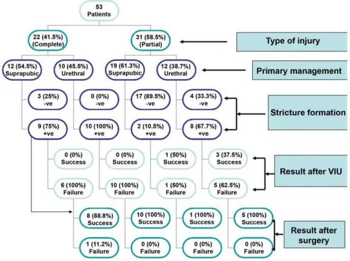 Figure 1 – Algorithm shows management outlines and outcomes in all patients. VIU = visual internal urethrotomy, -ve = no stricture  formation occurred, +ve = stricture formation occurred.