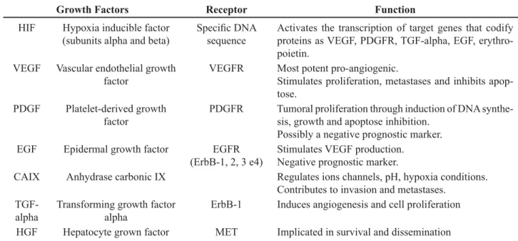 Figure 1 – Molecular scheme of mechanism of action of von Hippel-Lindau protein (VHL)