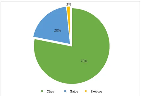 Gráfico 1 - Distribuição dos casos por espécie animal (n=489) 78%