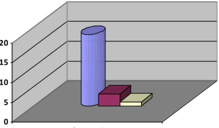 Gráfico 10 – Fragmentos com tratamento de superfície 