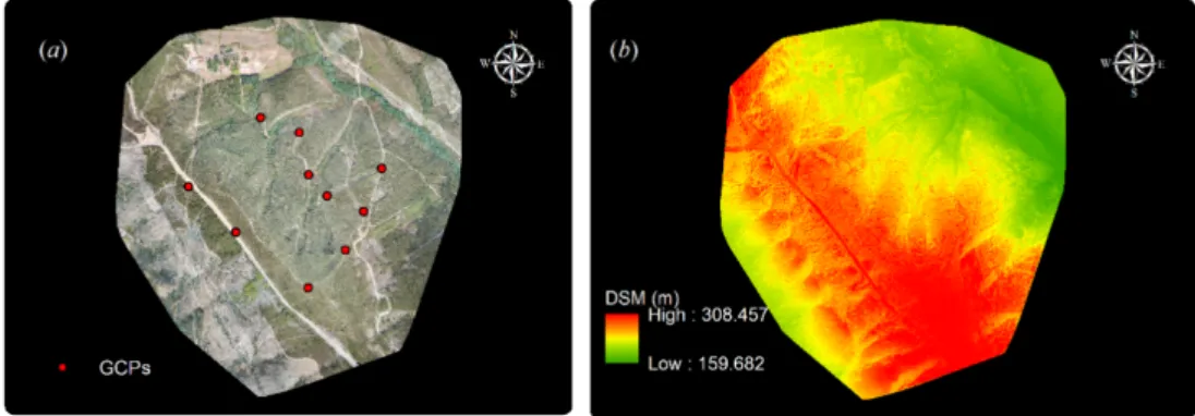 Figure 1. (a) UAV-derived RGB-orthomosaic image of the study area and 10 ground control points  (GCPs) (red dots) (b) UAV-derived Digital Surface Model (DSM) generated using Pix4d ®  software