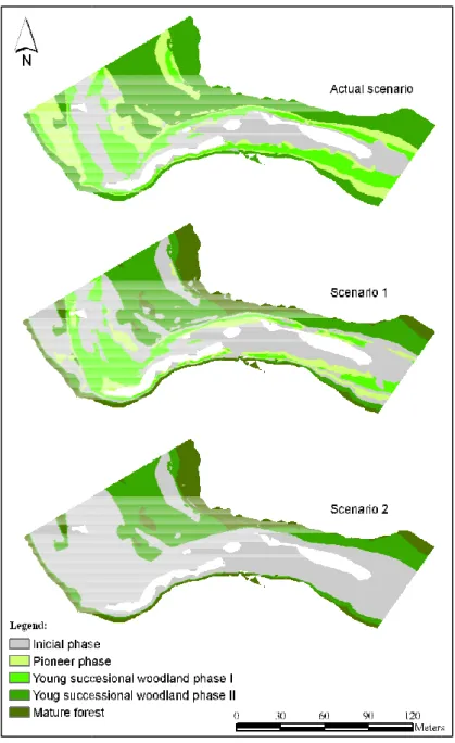 Figure 4. Expected vegetation suc