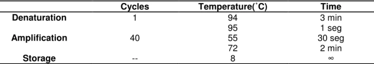 Table 2 |GBS-specific conventional PCR assay characteristics . 