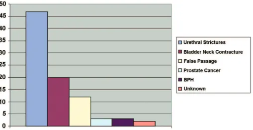 Figure 1 –  Most common causes of dificult urethral catheterization*. 