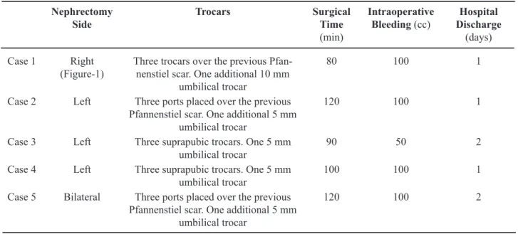 Table 2 – Intraoperative and early postoperative outcomes.