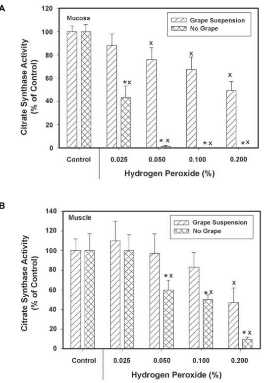Figure 3 – Comparison of the effect of H2O2 on the citrate synthase activities of mucosa (A) and muscle (B)