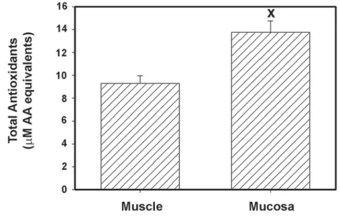 Figure 4 – CUPRAC assay for total antioxidant activity of the mucosal and muscle preparations