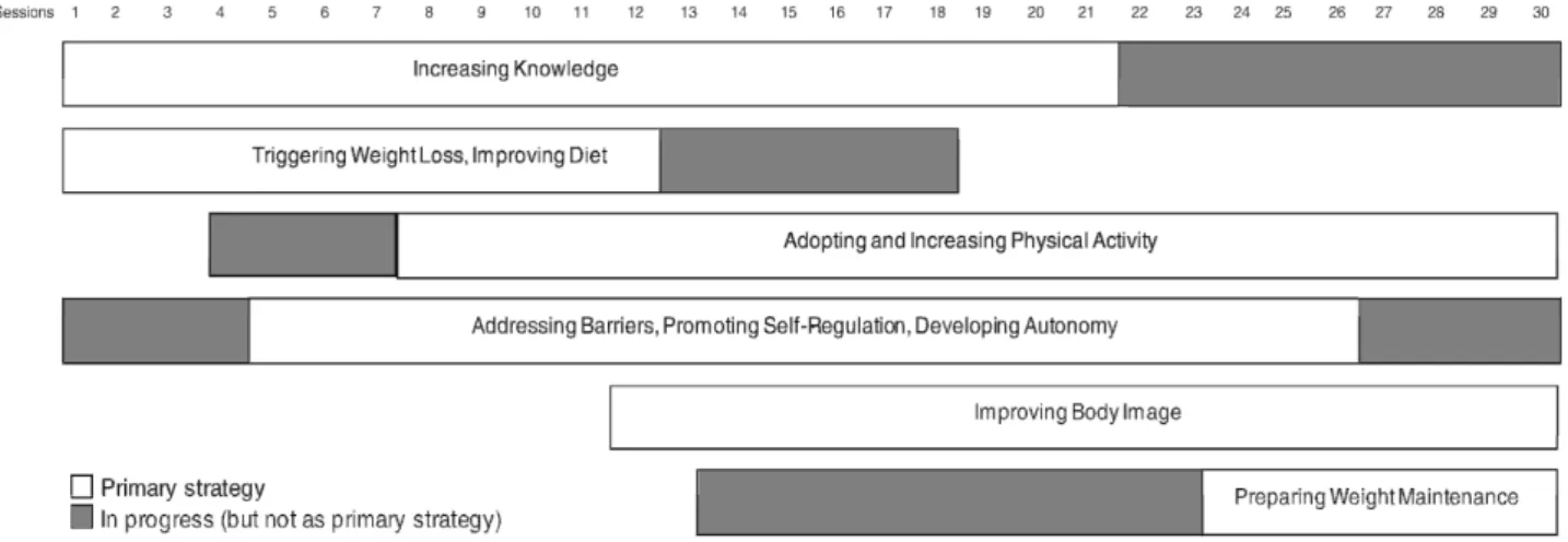 Figure 2 Intervention modules implementation. 