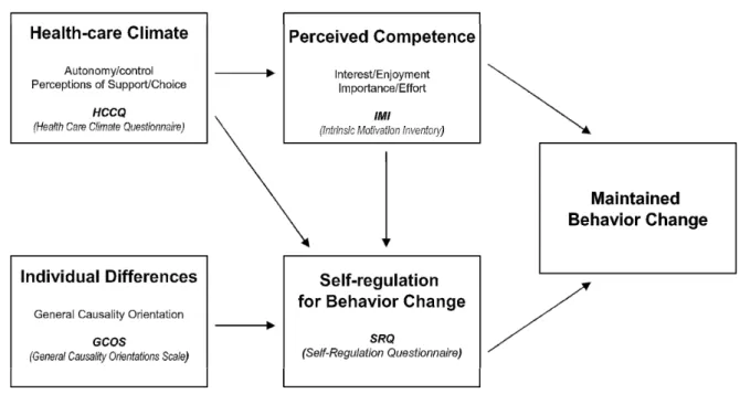 Figure  2  presents  the  self-determination  model  of  health  behavior  change  and  the  expected  relationships among its key constructs