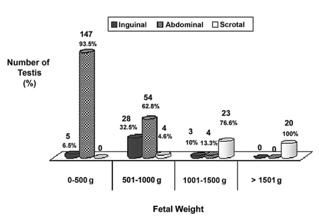 Figure 1 – Relationships between the position of the testes and the fetal weight during the fetal period in 288 testes studied.