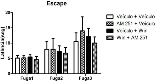 Figura 15: Efeito do pré-tratamento com AM 251 (1.0 mg/Kg) sobre a ação do Win 55-212 