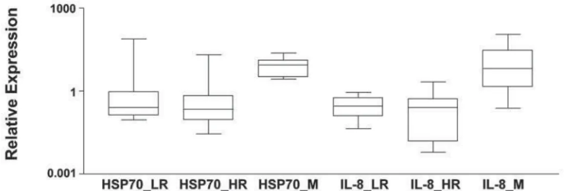 Figure 3 – Box-and-whisker plots of HSP70 and IL-8 expression in low-risk (LR), high-risk (HR) and metastatic (M) renal cell  carcinoma.