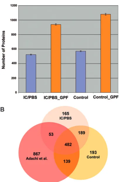 Figure 1 - IC/PBS and control urine protein identiications. (A) Average number ± standard deviation (on 4 technical replicates) of  identiied proteins with 2 or more peptides (multiple hits) using single m/z or 4 gas-phase m/z fractions for IC/PBS and cont