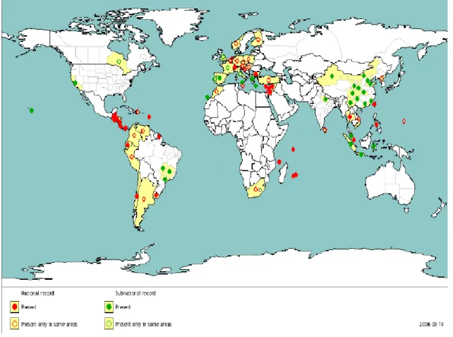 Figura 7 – Mapa da distribuição geográfica de Liriomyza huidobrensis (EPPO, 2010a). 