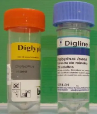 Figura  12  –  Embalagens  de  Diglyphus  isaea  adquiridos  às  empresas  Biobest  (à  esquerda)  e  Syngenta  Bioline (à direita) (Original do autor)