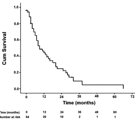 Figure 1 – Progression free survival from complete androgen blockade.