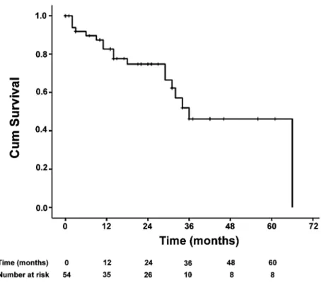 Figure 2 – Overall survival from initiation of complete androgen blockade.