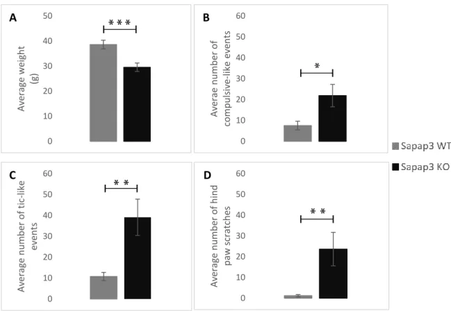 Figure 6: Quantitative behavioural comparison between the Sapap3-KO and the Sapap3-WT mice  A  –  Comparison  between  the  average  weights  of  the  two  groups  of  animals