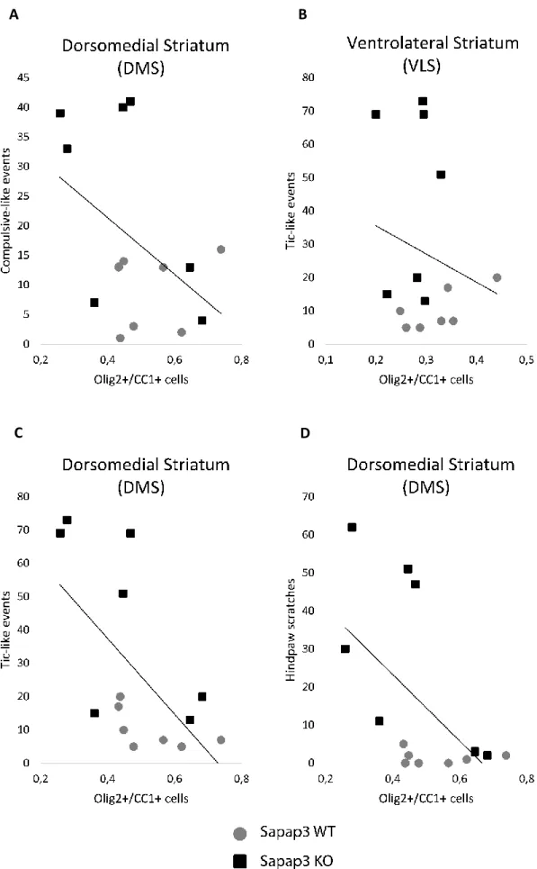 Figure 8: Correlation between behavioural quantifications and the number of oligodendrocytes in DMS and VLS  We looked for a correlation between the frequency of compulsive-like events (grooming events) with a  decreased number of oligodendrocytes in the D