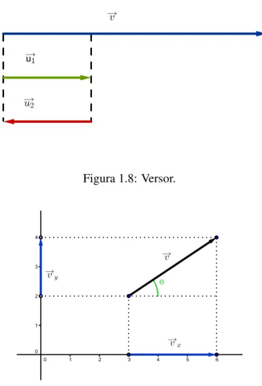Figura 1.8: Versor.