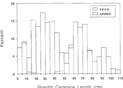Fig. 5. Size distribution of loggerheads around the Azores (data from this study) and the southeastern  U.S