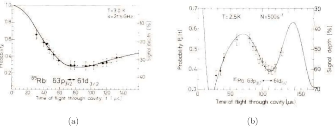 Figura 3.2: Ap´ os atravessar a cavidade, a probabilidade P e (t) do ´atomo estar no estado excitado 63p 3/2 ´e medida
