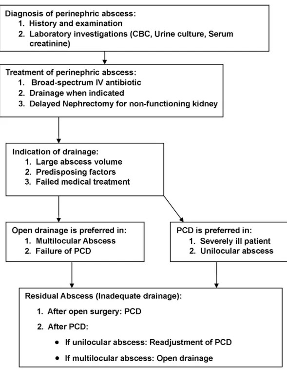 Figure 1 – Algorithm for management of perinephric abscess. PCD = percutaneous tube drain; CBC= complete blood count.