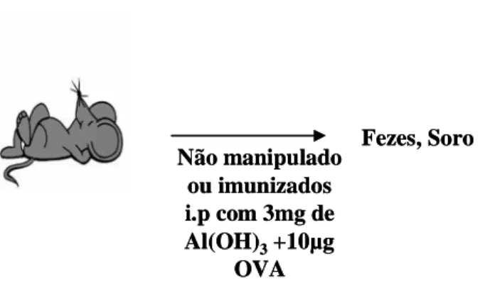 Figura 4: Avaliação da resposta imune de anticorpos basais e antígeno-específicos. 