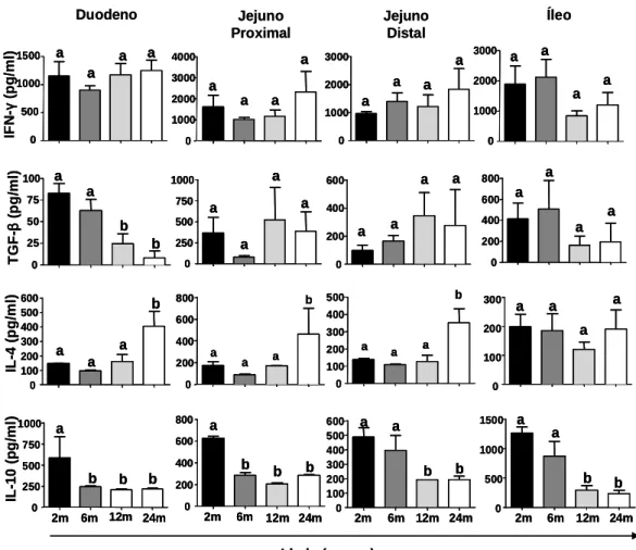 Figura 14: Produção de IFN- γ, TGF-β, IL-4 e IL-10 no duodeno, jejuno proximal,  jenuno distal e íleo