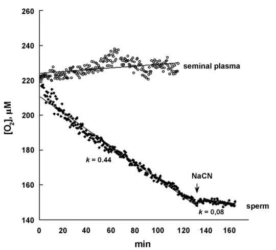 Figure 1 – Representative plot of O 2  consumption as function of time in sperm and seminal plasma from a smoker