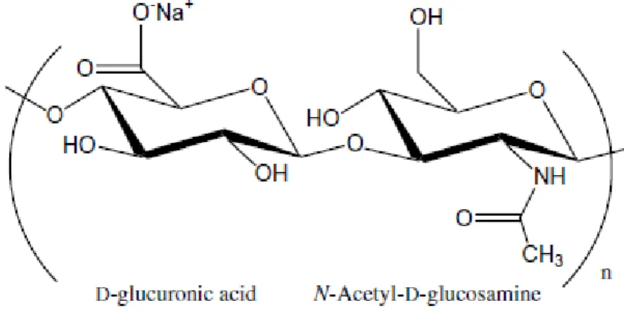 Figura  1:  Estrutura  química  do  hialuronato  de  sódio  (FONTE:  MALEKI;  KJONIKSEN; 