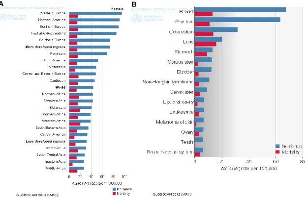 Figure 2. A. Breast cancer estimated age-standardized incidence and mortality rates in the World  per 100000