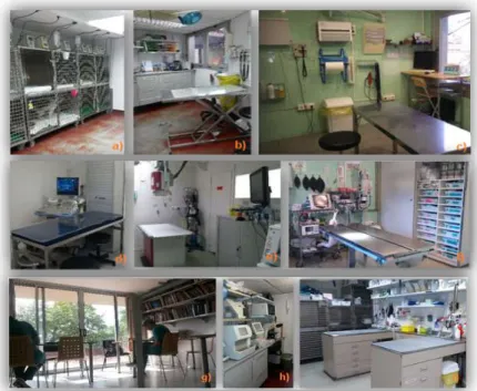 Fig. 1 -  Instalações do Hospital  Ars Veterinaria: a) e b) Unidade de 