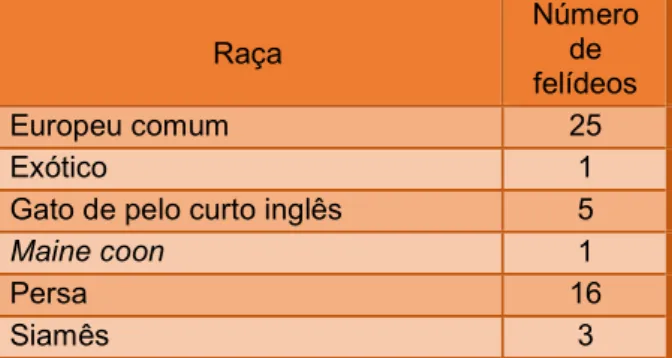 Tabela 2 – Raças dos felídeos acompanhados durante o período de estágio (n=51) 