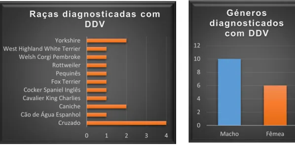 Gráfico 5 – Distribuição das raças dos pacientes 