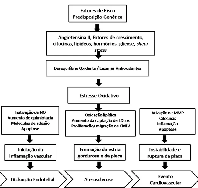 Figura 8: Fisiopatologia do estresse oxidativo e DCVs. WASSMANN et al., 2004.