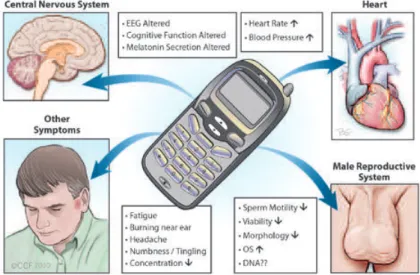 Figure 1 - Effects of Cellular Phone Usage on the Human Body. Usage of cellular phones is associated with alterations  in various body systems including the central nervous system, cardiovascular system, and male reproductive system