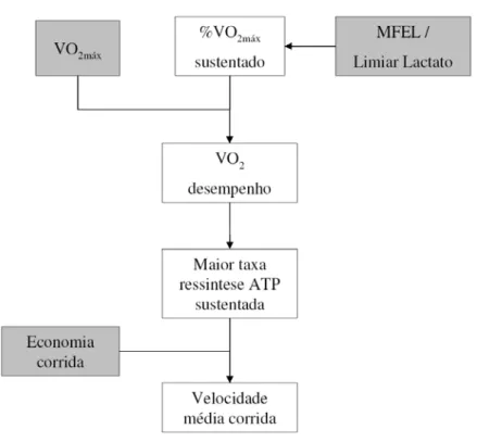 FIGURA 3. Diagrama mostrando que o desempenho  aeróbico é predominantemente determinado pelo consumo  máximo de oxigênio (VO 2MAX ), limiar de lactato, 