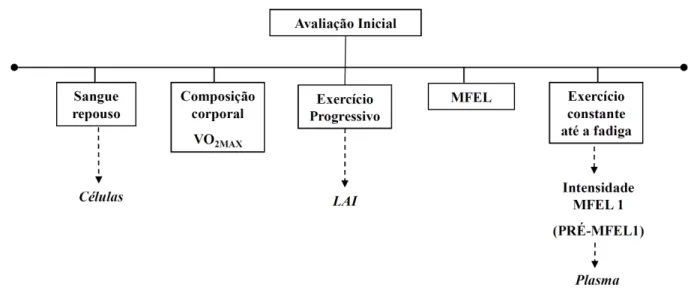 FIGURA 12. Esquema dos testes realizados na avaliação inicial. 