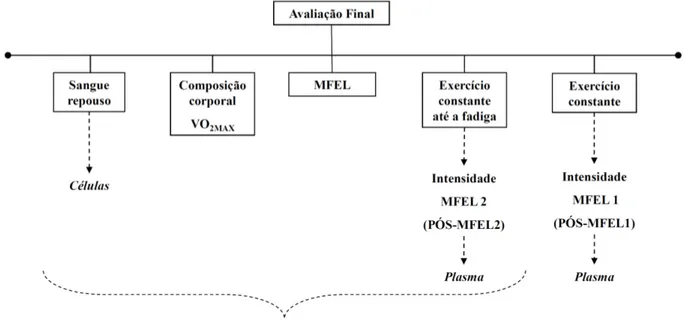 FIGURA 13. Esquema com todos os testes realizados na avaliação final. 