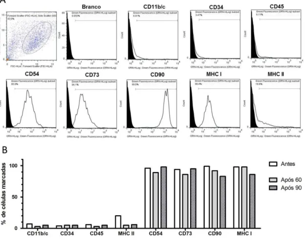 Figura  2.  Análise  imunofenotípica  das  CTM  por  meio  de  citometria  de  fluxo.  A)  Gráfico  de  tamanho  versus  granulosidade  indica  a  população  R1  escolhida  para  análise  dos  marcadores  CD11,  CD34,  CD45,  CD54,  CD73,  CD90,  MHC-I,  M