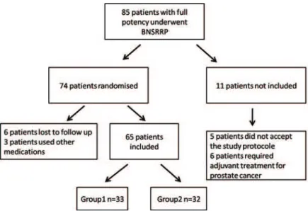 Figure 1 - Flow chart for the inclusion of the patients.