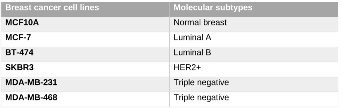 Table 2 - BrCa cell lines that were used, represents different BrCa molecular subtypes