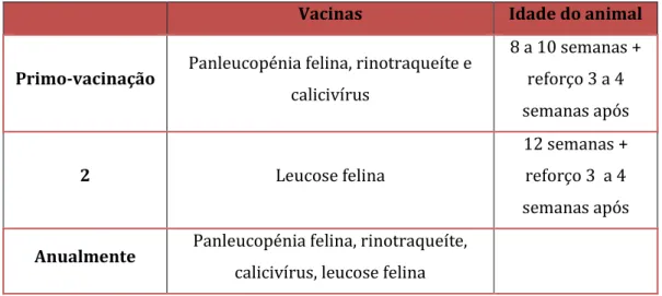Tabela II – Plano vacinal seguido no Hospital Veterinário das Laranjeiras, para felídeos