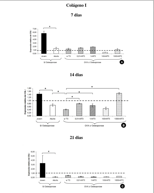 Figura  6.  Quantificação  relativa  (média  ±  desvio  padrão)  do  transcrito  gênico  para  colágeno  I  (COL  I)  pela técnica de  RT-PCR em tempo real em culturas de  CTM da  medula óssea de ratas jovens e adultas  sem  osteoporose  e  de  ratas  adul