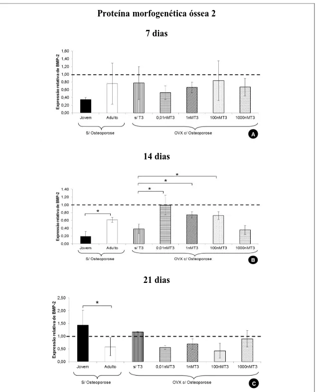 Figura  10.  Quantificação  relativa  (média  ±  desvio  padrão)  do  transcrito  gênico  para  proteína  morfogenética óssea 2 (BMP-2) pela técnica de RT-PCR em tempo real em culturas de CTM da medula  óssea de ratas jovens e adultas sem osteoporose e de 