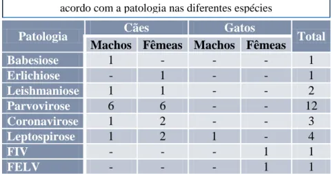 Tabela nº10: Casos de doenças infeciosas e parasitárias seguidos de  acordo com a patologia nas diferentes espécies 