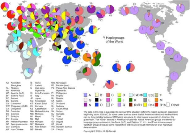 Figure 2- Distribution and diversity of the Y-Chromosome haplogroups around the world (adapted from  http://www.transpacificproject.com/index.php/transpacific-migrations/) 